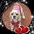 Keri Shamone Wilhelm's profile image