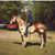 Scott Smith's profile image