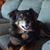 Beth Roberts Spence's profile image