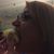 Ginger Dobbins Gregory's profile image