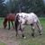 Candy Clark's profile image