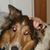 Madison Cunningham's profile image