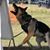 Tammie Smith Holder's profile image