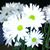 Patricia D. Lamb's profile image
