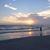 Kim Politte Chapman's profile image