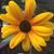 Pam Valenza's profile image