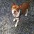Fred Rhinestone's profile image