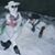 Colleen Roberts-Fuller's profile image