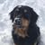 Dawna C. Lindsey's profile image