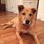 Patricia Dubin's profile image