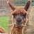 Katrina Griffith's profile image