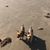 Polly Mahaffey Goodner's profile image