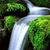Jose Gregorio Lopez's profile image