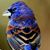 Rebecca Parrish's profile image