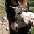 Shannon Godbey's profile image