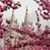 Kathryn Holm Roundy's profile image