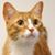 Suzanne Reavis's profile image