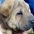 Ludy Gaoz Mendy's profile image