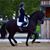 Chelsea Balcaen's profile image