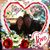 Pamela S Frey's profile image