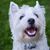 Jann Yerkovich Stewart's profile image