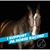 Katie Brandt Weaver's profile image