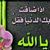 Aliraqia Allami's profile image
