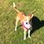 Meredith Ferguson's profile image