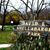David Shellabarger Park's profile image
