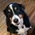 Tammy Sickels's profile image