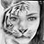 Aimee Jo Hatt's profile image