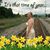 Elizabeth Diane Blevins's profile image