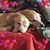 Karen Anderson's profile image