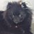 Denise Cherry's profile image