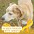 Judy Kurrasch's profile image