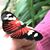 Barbara Veenhuis Soda's profile image