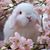 Linda Snow's profile image