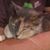 Mary Lou Ferrell's profile image