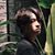 Ngô Hoàng Lân's profile image