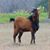 Lee Daughdrill's profile image