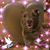 Chriis Dolan's profile image