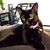 Barbara Kopping's profile image