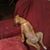 Jenifer Raheem's profile image