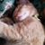 Deanna Martin-Morrow's profile image