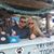 Teresa Stelling's profile image