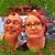 Liz McCarley's profile image