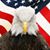 Janie Guettler's profile image