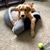 Marisa Efting's profile image