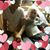 Angel Engle's profile image