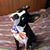 Stacey Glover's profile image